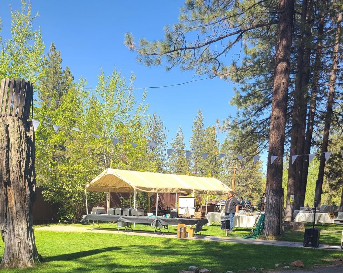 Golden Bear Inc Aparthotel Big Bear Lake Bagian luar foto